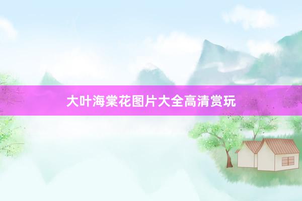 大叶海棠花图片大全高清赏玩