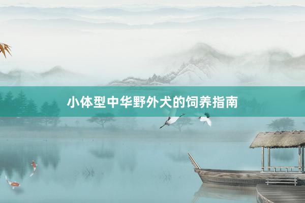 小体型中华野外犬的饲养指南