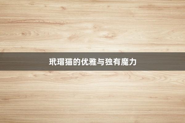玳瑁猫的优雅与独有魔力